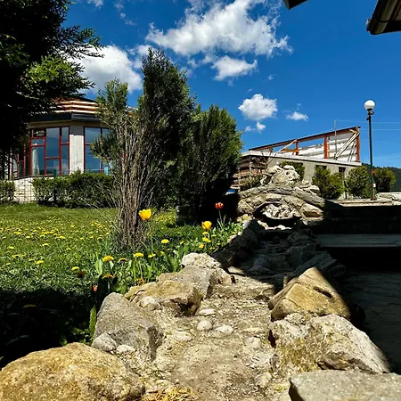 Odmor - Kraljica